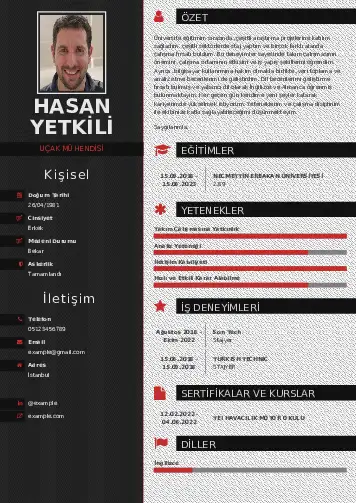 Havacılık Ve Uzay Uçak Mühendisi Cv Örnekleri cv indir